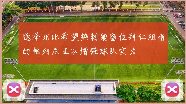德泽尔比希望热刺能留住拜仁租借的帕利尼亚以增强球队实力