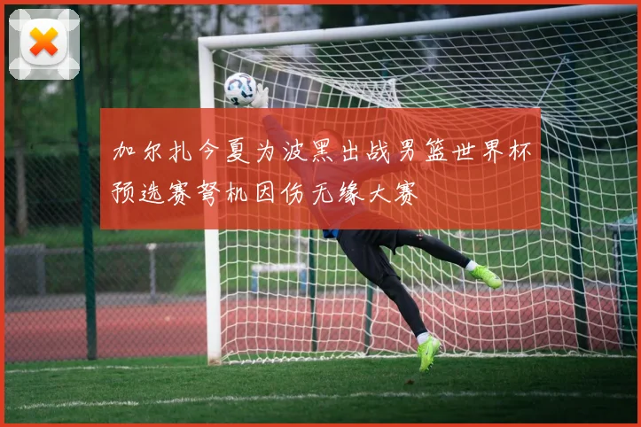 加尔扎今夏为波黑出战男篮世界杯预选赛弩机因伤无缘大赛